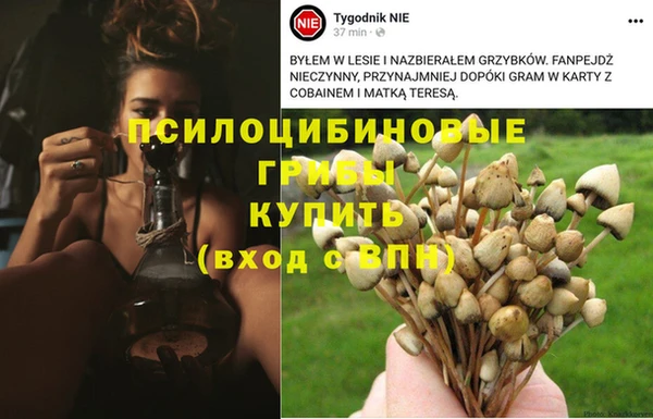 амфетамин Аркадак